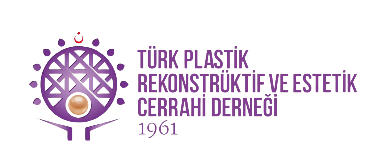 Logo 1